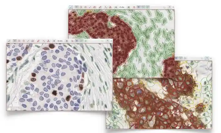 Biomarker quantification