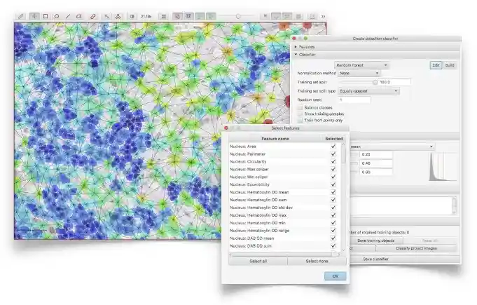 Object classification