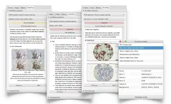 User-friendly analysis