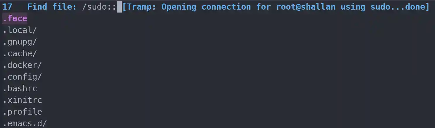 Using sudo via
TRAMP