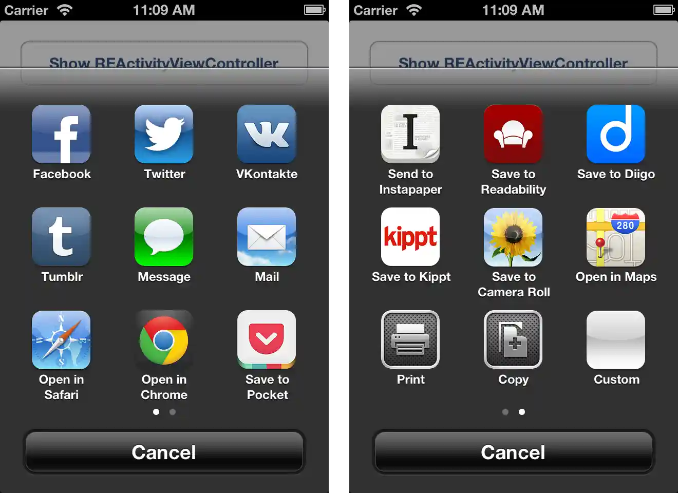REActivityViewController Screenshot