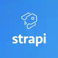 Strapi Js