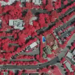 False-color image with a pool in the image