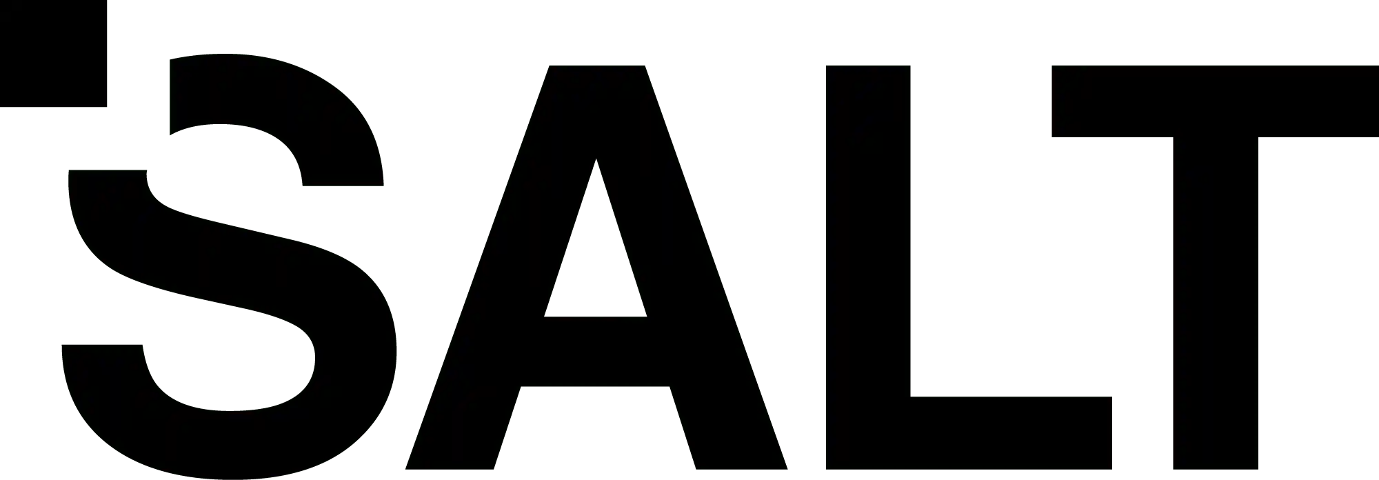 Salt Logo