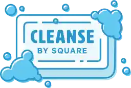 Documentation/cleanse_logo_small.png