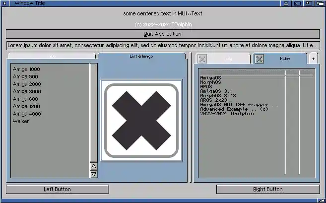 advanced example window