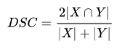Dice Coefficient