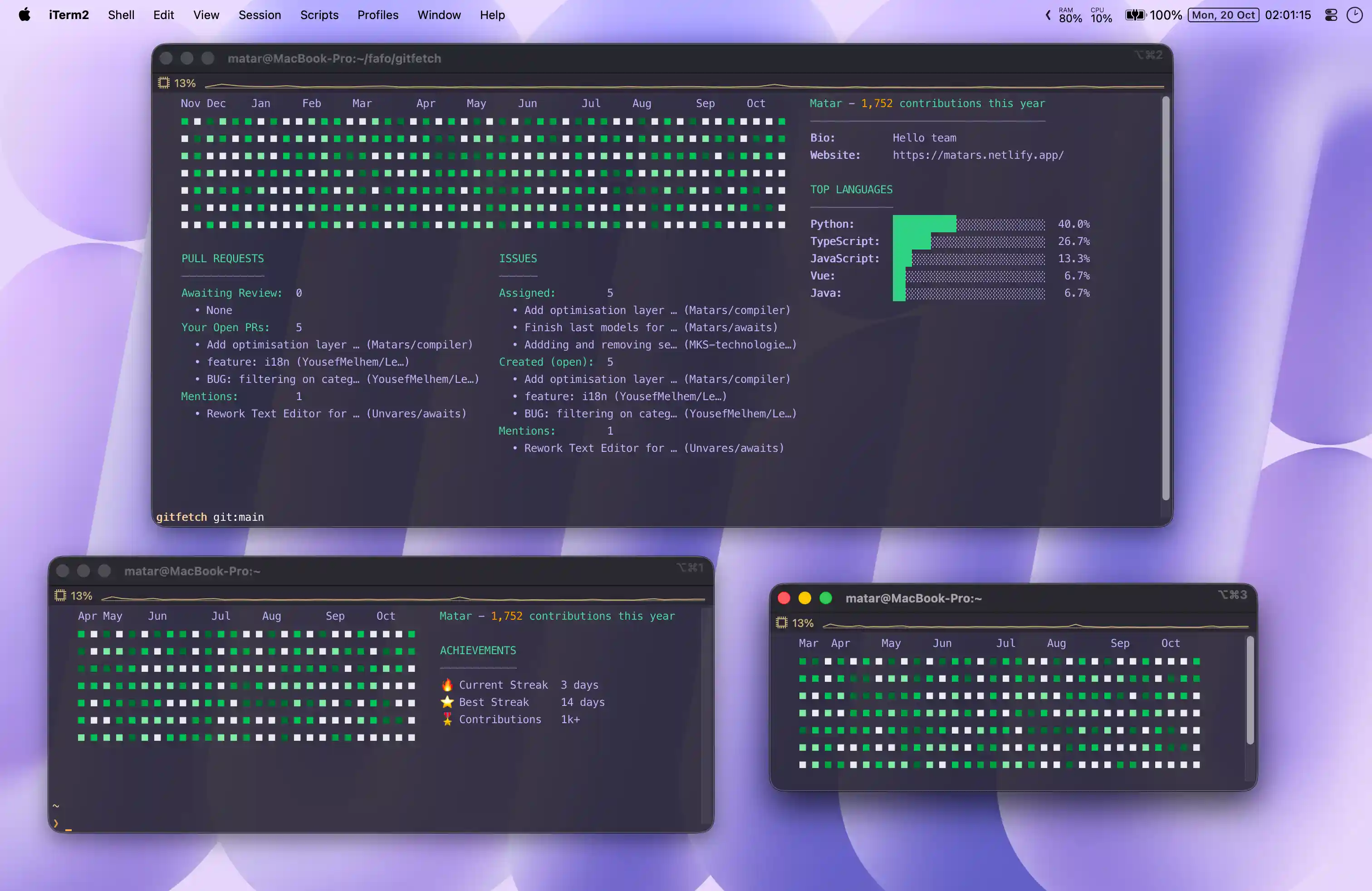 Default gitfetch display with GitHub stats