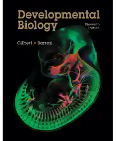 Developmental Biology