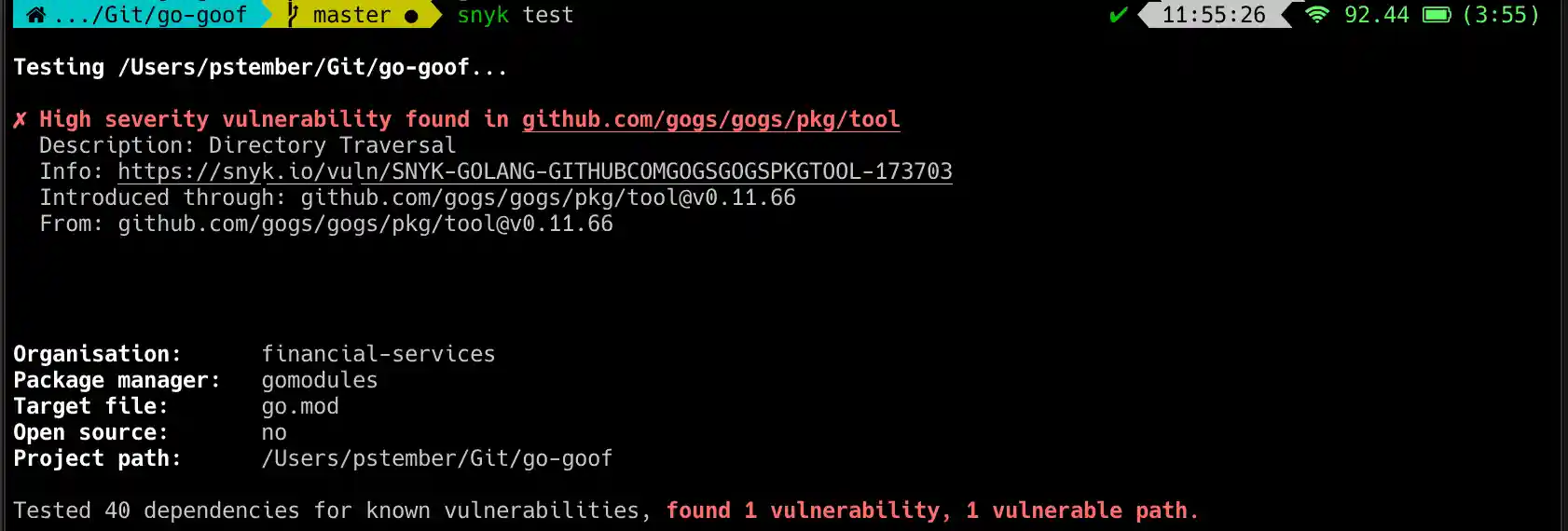 Vulnerability detection screenshot
