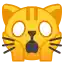 :scream_cat: