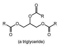 molecule