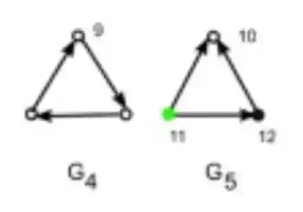 G4 and G5 Directed Network Motifs