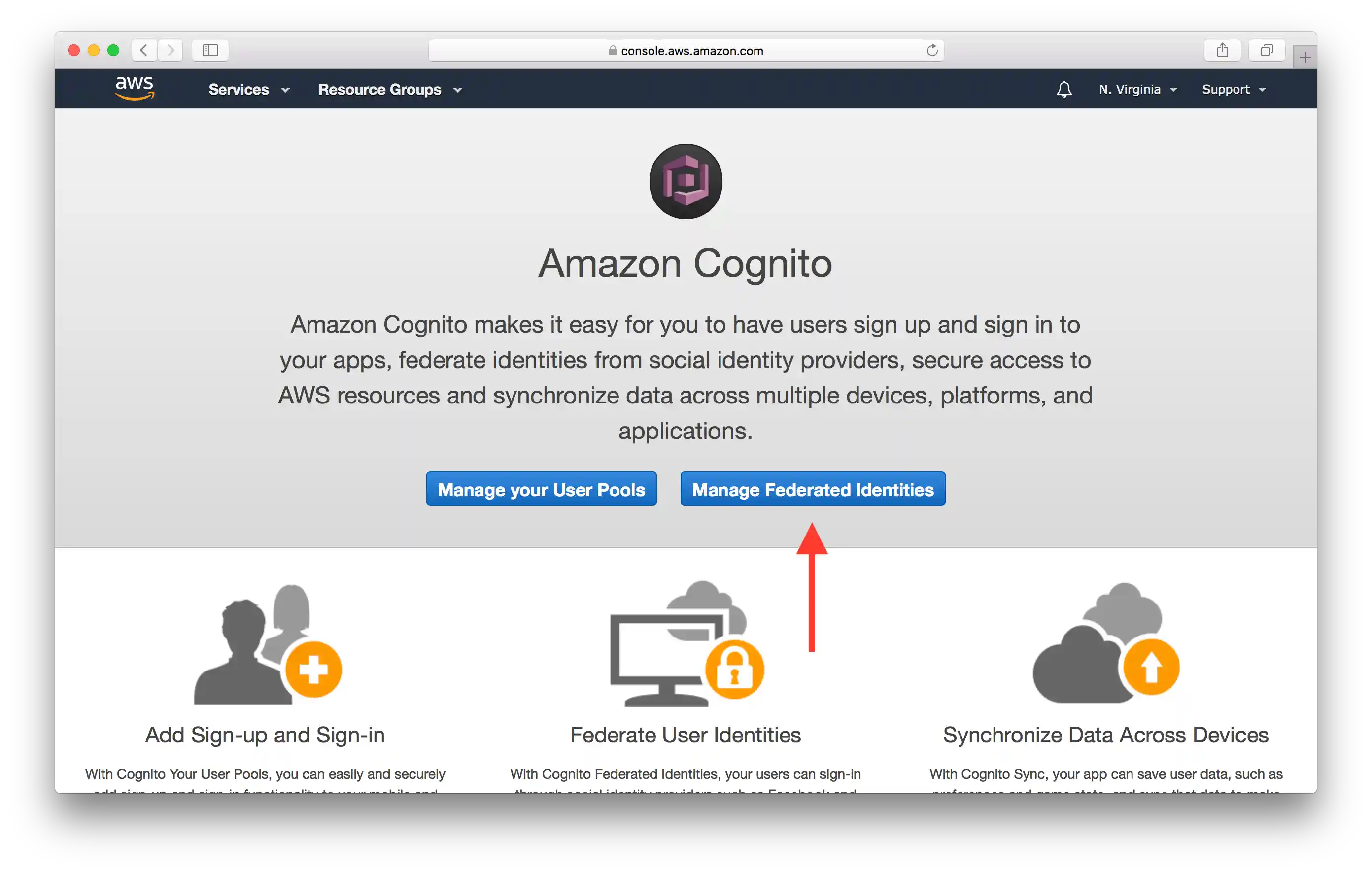 Click Manage Federated Identities Screenshot