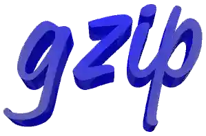 gzip
