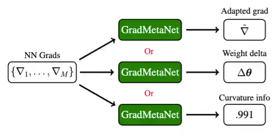 GradMetaNet