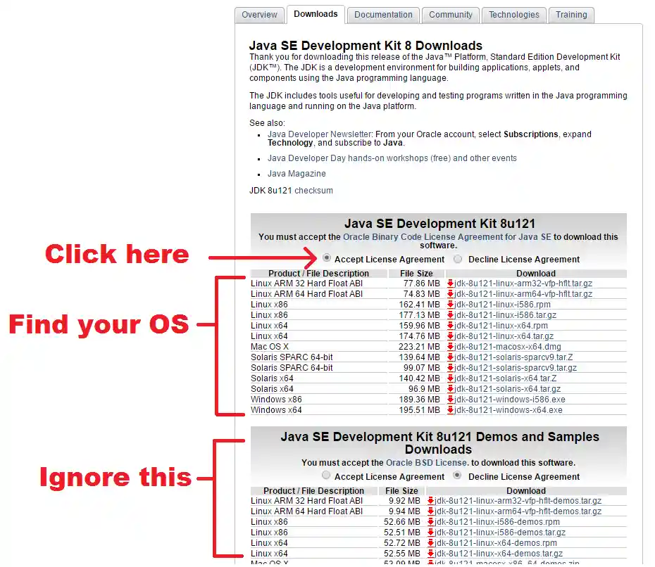 download Java screenshot
