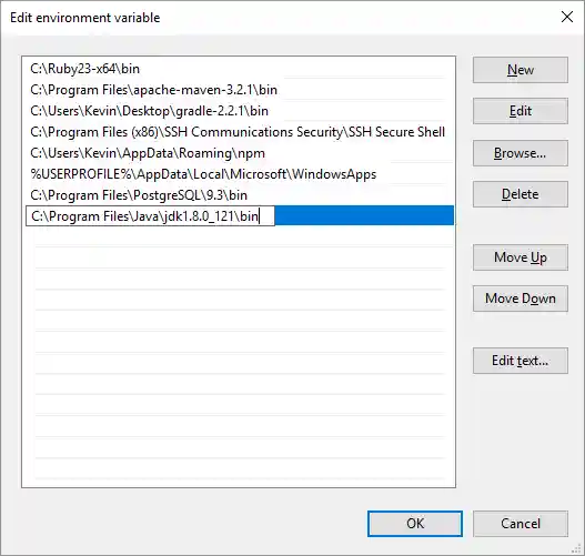 Edit environment variable dialog