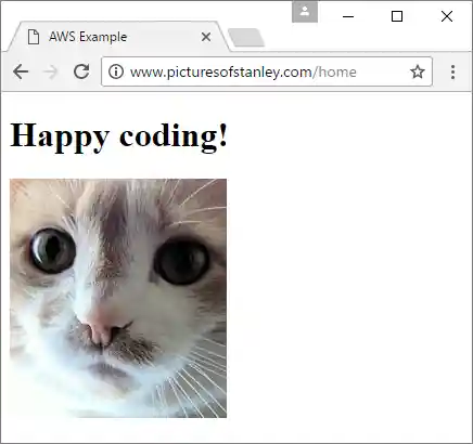 example web app at custom URL