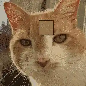 sketch showing pixel color