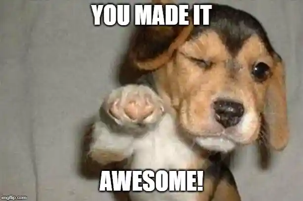 You made it