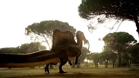 Even giant dinosaurs have a soft spot
