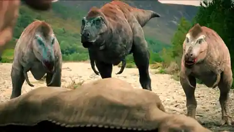 Albertosaurus outsmarts prey to win the pack's respect