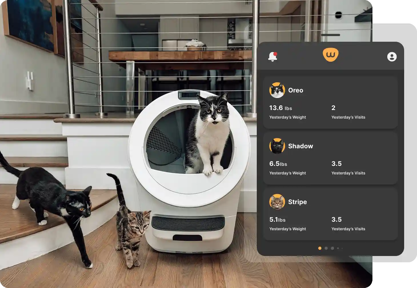 Multiple cats using Litter-Robot 5 automatic litter box