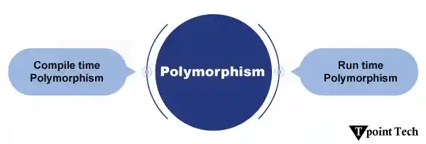 C++ Polymorphism