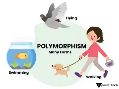 OOPs (Object-Oriented Programming) Concepts in Python