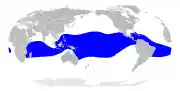 Sula sula map.svg