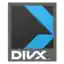 DivX container.png