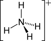 2-D skeletal version of the ammonium ion