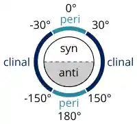 syn/anti peri/clinal