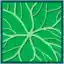 Leaf morphology rotate.png