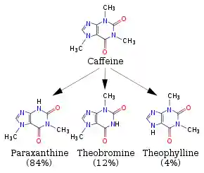 A diagram featuring 4 skeletal chemical formulas. Top (caffeine) relates to similar compounds paraxanthine, theobromine and theophylline.