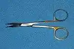 Tenotomy scissors.jpg