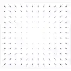 Dense vector field representation.
