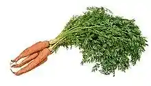 Vegetable-Carrot-Bundle-wStalks.jpg