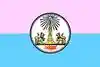 Flag of Yasothon Province.png