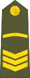 OR-5 insignia