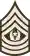Command Sergeant Major