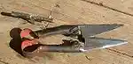 BladeShears.jpg