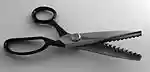 Zackenschere.jpg