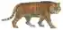 Stamp-russia2014-save-russian-cats-(tiger).png