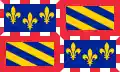 Flag of Burgundy
