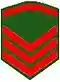 OR-5 insignia