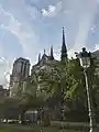 Paris Notre Dame19042017.jpg