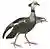 Chauna chavaria white background.jpg