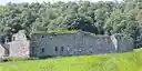 Danby Castle 1.jpg